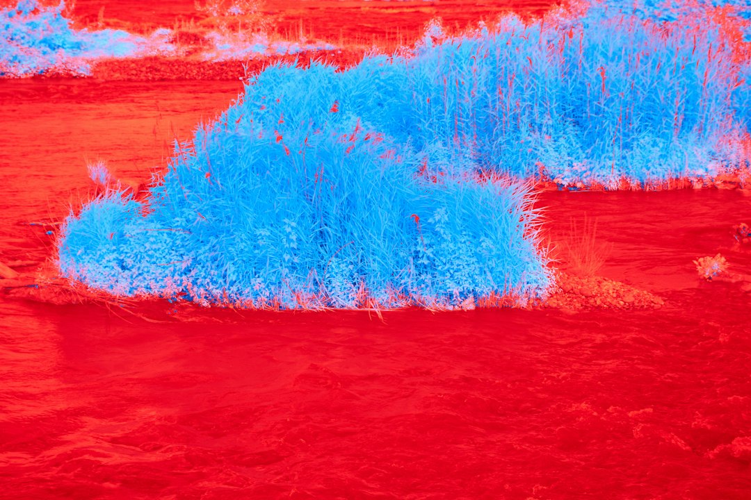 Die Kraft der Heatmaps: Wie sie Ihre Webseite verbessern können